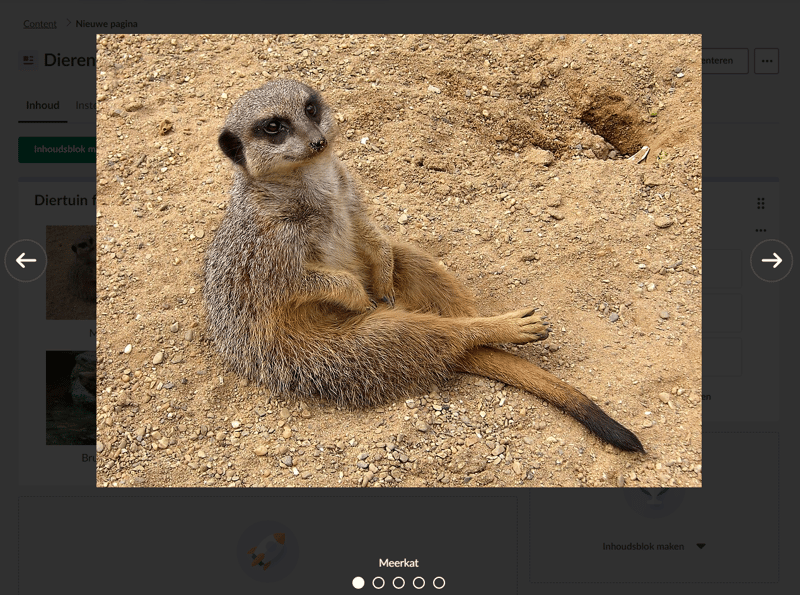 Afbeelding dierentuin